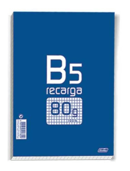 Recarga de Folhas FIRMO Quadriculado (A4 - 100 Folhas)